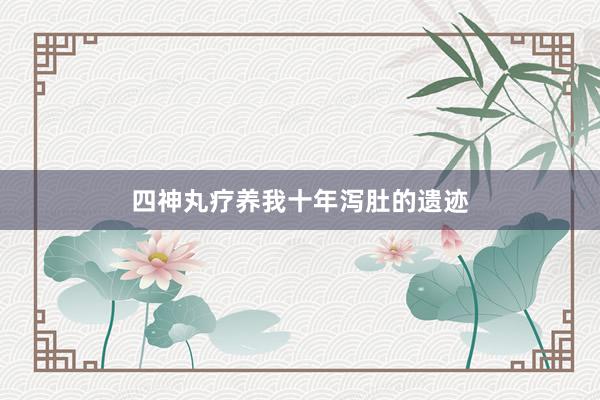 四神丸疗养我十年泻肚的遗迹