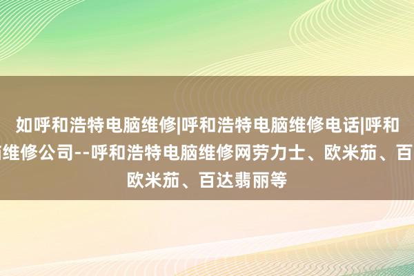 如呼和浩特电脑维修|呼和浩特电脑维修电话|呼和浩特电脑维修公司--呼和浩特电脑维修网劳力士、欧米茄、百达翡丽等