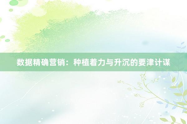 数据精确营销：种植着力与升沉的要津计谋