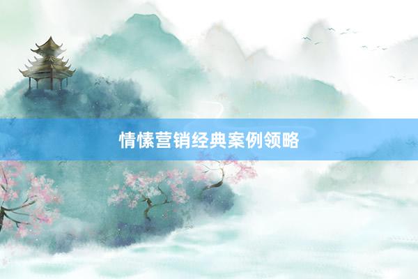 情愫营销经典案例领略
